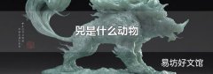兕是什么动物