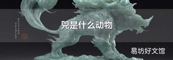 兕是什么動物