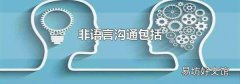 非语言沟通包括