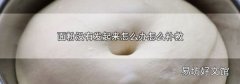 面粉没有发起来怎么办怎么补救