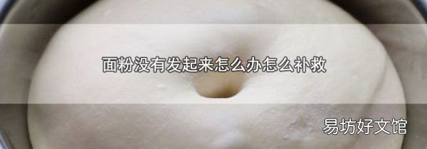 面粉没有发起来怎么办怎么补救