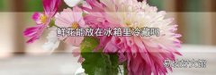 鲜花能放在冰箱里冷藏吗