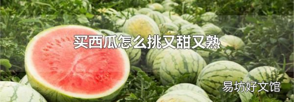 买西瓜怎么挑又甜又熟