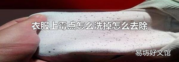 衣服上霉点怎么洗掉怎么去除