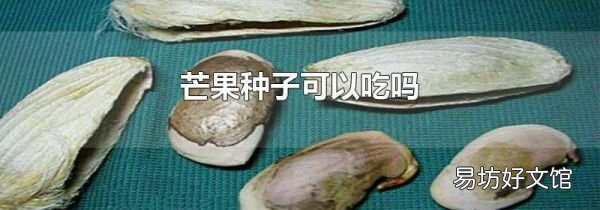 芒果種子可以吃嗎