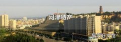 河津特产