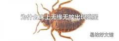 为什么床上无缘无故出现跳蚤