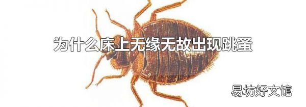 为什么床上无缘无故出现跳蚤