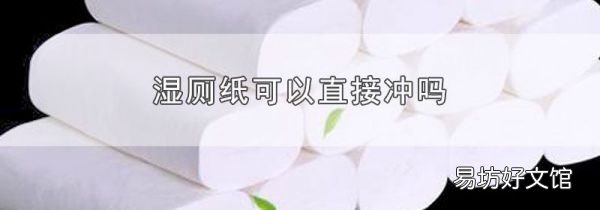 湿厕纸可以直接冲吗