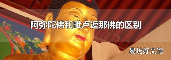 阿弥陀佛和毗卢遮那佛的区别