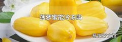 菠萝蜜能冷冻吗