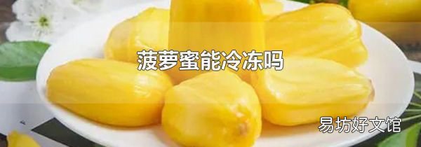 菠萝蜜能冷冻吗