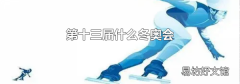 第十三届什么冬奥会