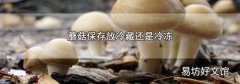 蘑菇保存放冷藏还是冷冻