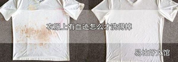 衣服上有血迹怎么才洗得掉