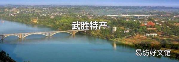 武胜特产