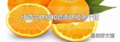 纽荷尔脐橙和赣南脐橙哪个甜