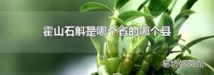 霍山石斛是哪个省的哪个县