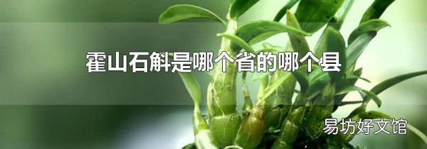 霍山石斛是哪个省的哪个县