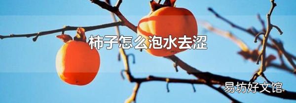 柿子怎么泡水去澀