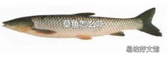 草鱼怎么吃