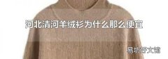 河北清河羊绒衫为什么那么便宜