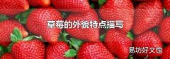 草莓的外貌特点描写