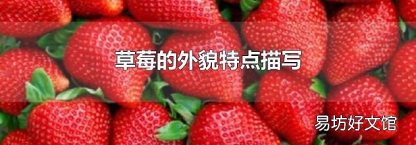 草莓的外貌特点描写