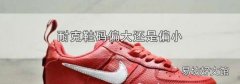 耐克鞋码偏大还是偏小