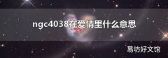 ngc4038在爱情里什么意思