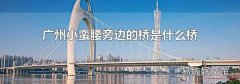 广州小蛮腰旁边的桥是什么桥