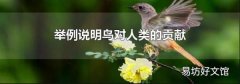 举例说明鸟对人类的贡献