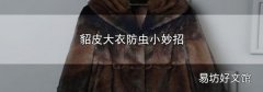 貂皮大衣防虫小妙招