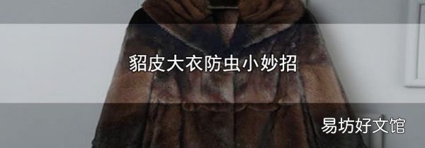 貂皮大衣防虫小妙招