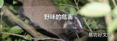 野味的危害