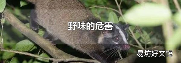 野味的危害