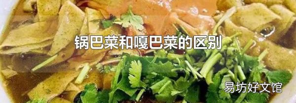 锅巴菜和嘎巴菜的区别