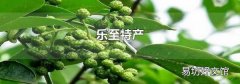 乐至特产