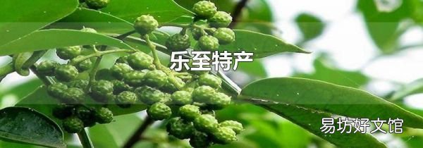 乐至特产