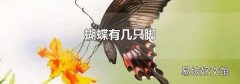 蝴蝶有几只脚