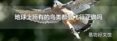 地球上所有的鸟类都会飞行正确吗