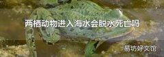 两栖动物进入海水会脱水死亡吗