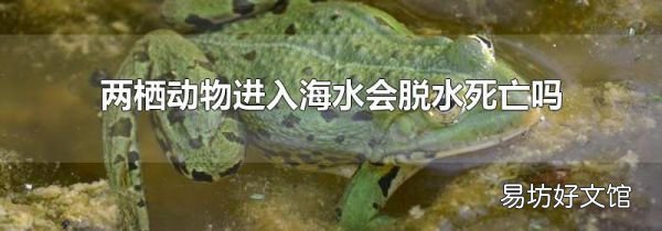 两栖动物进入海水会脱水死亡吗