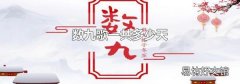 数九歌一共多少天