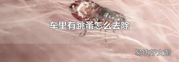 車?yán)镉刑樵趺慈コ?
onload=