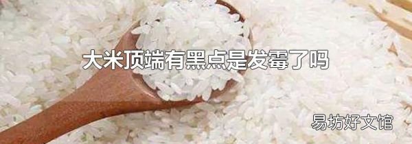 大米顶端有黑点是发霉了吗