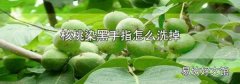 核桃染黑手指怎么洗掉