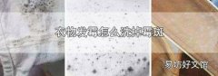 衣物发霉怎么洗掉霉斑