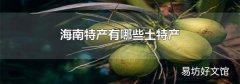 海南特产有哪些土特产