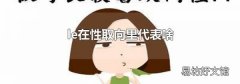 le在性取向里代表啥